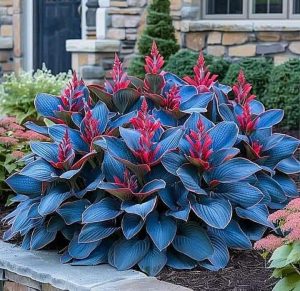 Хоста Грин Фог купить по цене от 669р. в интернет-магазине «Посадика» с доставкой почтой в в Новомосковске и по всей России – [изображение №1].