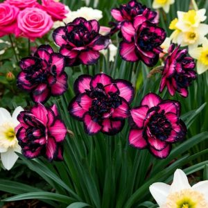 Нарцисс Золотая Корона купить по цене от 2000р. в интернет-магазине «Посадика» с доставкой почтой в в Новомосковске и по всей России – [изображение №1].