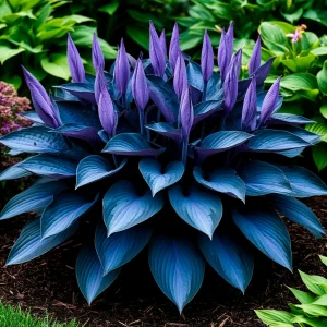 Хоста Сикрет Гров купить по цене от 570р. в интернет-магазине «Посадика» с доставкой почтой в в Новомосковске и по всей России – [изображение №1].