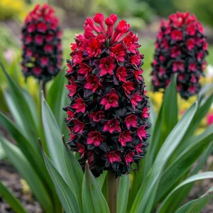 Гиацинт Джем Стоун купить по цене от 2099р. в интернет-магазине «Посадика» с доставкой почтой в в Новомосковске и по всей России – [изображение №1].