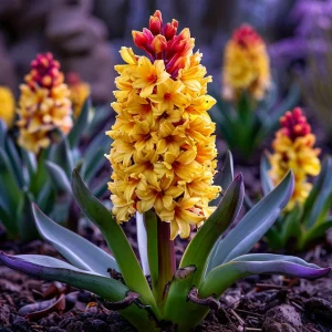 Гиацинт Миднайт Мистери купить по цене от 2099р. в интернет-магазине «Посадика» с доставкой почтой в в Новомосковске и по всей России – [изображение №1].