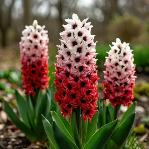 Гиацинт Скай Гарден купить по цене от 2099р. в интернет-магазине «Посадика» с доставкой почтой в в Новомосковске и по всей России – [изображение №1].