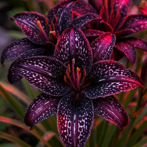 Лилейник Вояж купить по цене от 699р. в интернет-магазине «Посадика» с доставкой почтой в в Новомосковске и по всей России – [изображение №1].